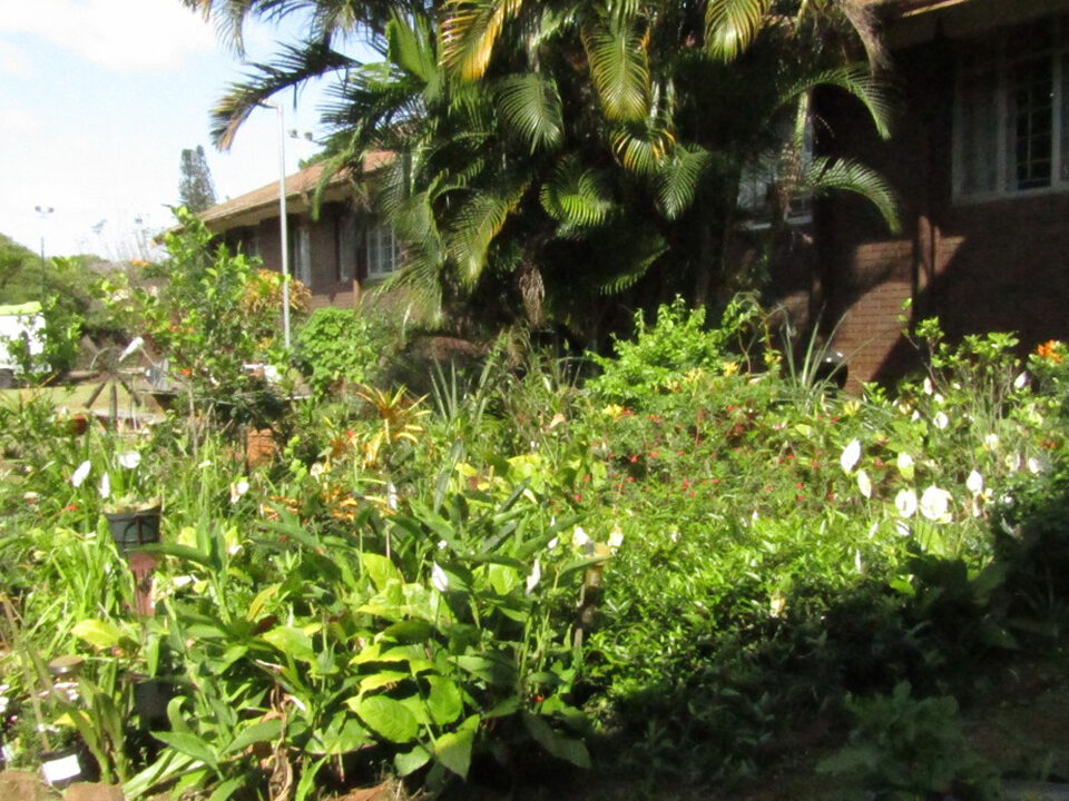 port natal school hostel 3